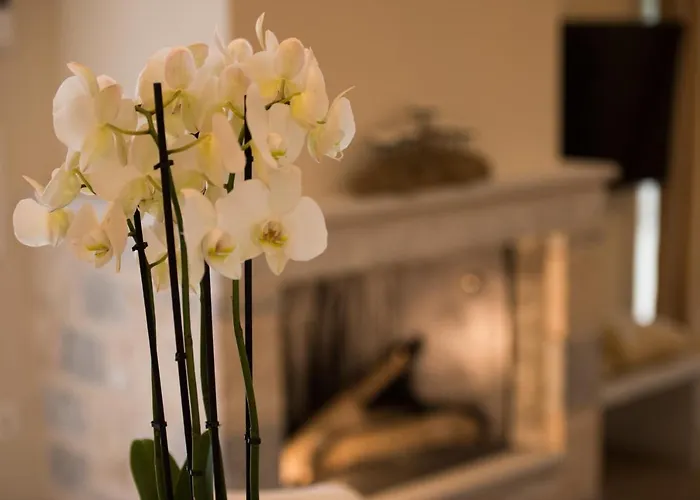 Efmar Exclusive Residences *